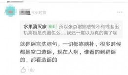 爆料杨紫感情破裂的视频,视频揭露分手真相